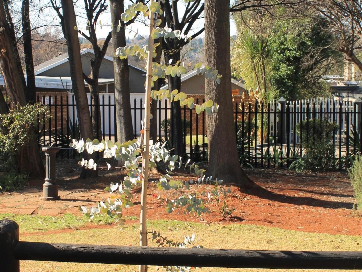 Wild Tree Lodge Benoni Exterior foto