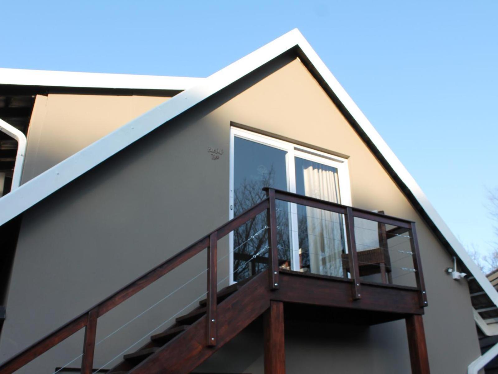 Wild Tree Lodge Benoni Zimmer foto